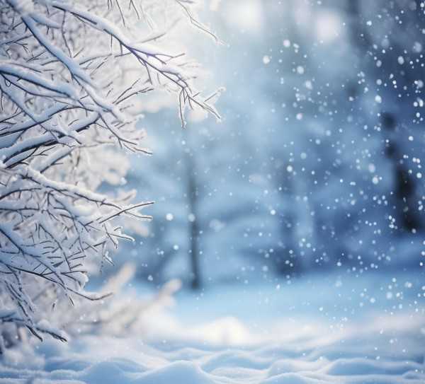 冬日雪韵，银装素裹的细腻画卷,银装素裹的，冬日雪景的细腻描绘,美好,第1张