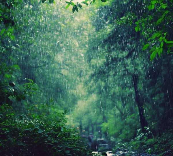 雨的细语，捕捉雨中诗意瞬间,雨的诉说，那些关于雨的美丽句子,美好,第1张