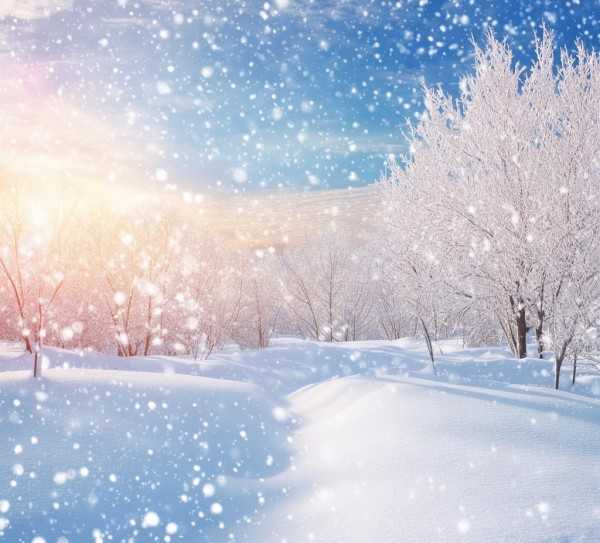 雪舞纷飞，诗意盎然的冬日画卷,银装素裹，那些形容下雪的美好句子,美好,壮丽,冬日,第1张