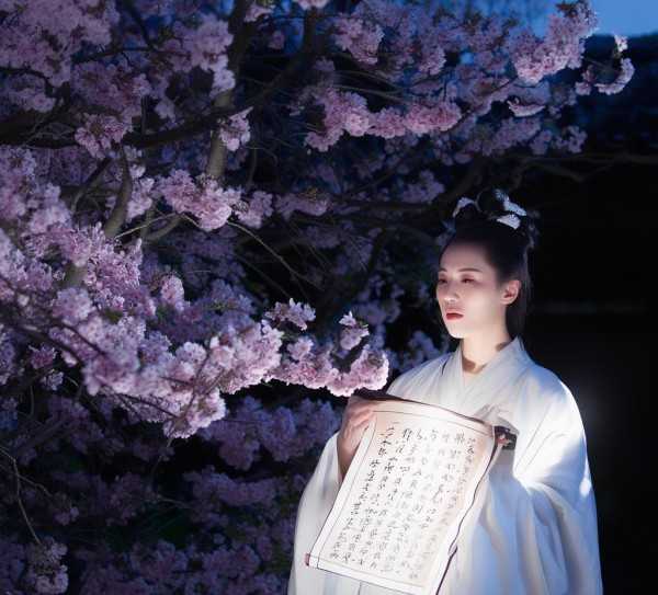 穿越千年的智慧之光,文言名句集锦,智慧,美好,哲理,第1张 穿越千年的智慧之光,文言名句集锦,文言名句,穿越的智慧之光,智慧,美好,哲理,第1张