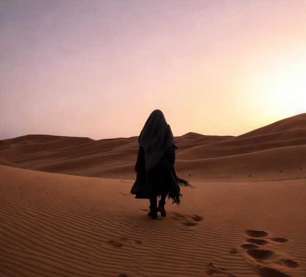 尘寰旅者，独步江湖的传奇之旅,独步尘寰，一位旅者的故事,智慧,传奇,第1张
