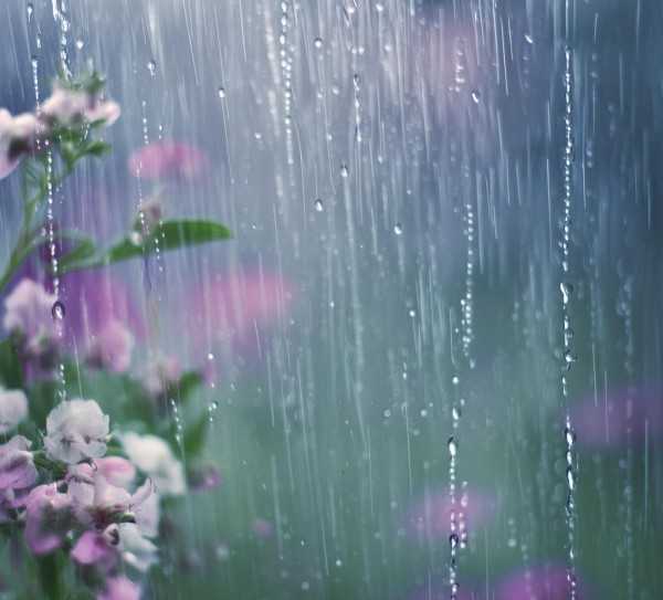 雨声的呢喃，雨中诗意句段集锦,雨的的呢喃，关于下雨的美丽句子汇编,美好,魅力,韵味,第1张